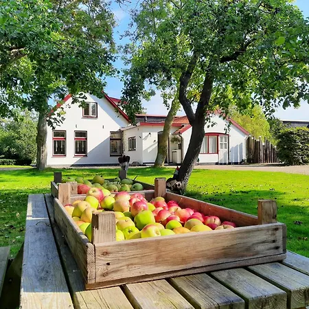 De Vrijheid-plantage Appartement De Cocksdorp (Texel)