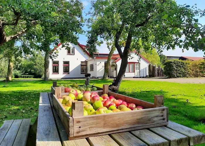 De Vrijheid-plantage Appartement De Cocksdorp (Texel)